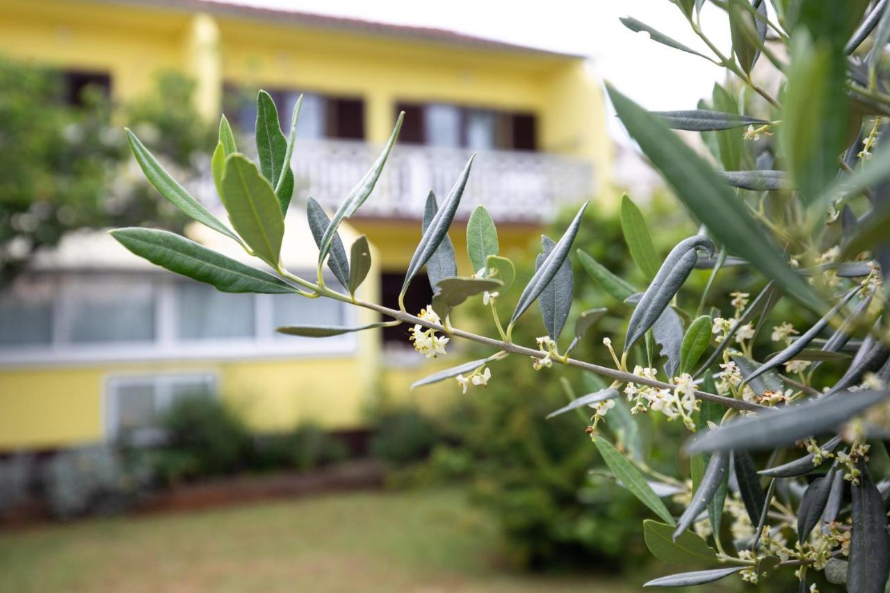 Apartment Drago *Cosy & Close To The Beach! Krk Town Bagian luar foto